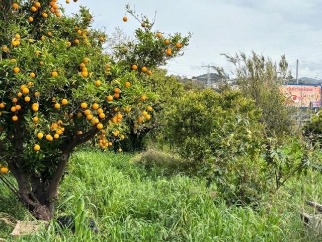 Terreno in vendita a San Filippo, Furnari