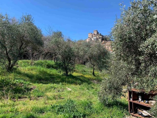 Terreno in vendita a Soriano Nel Cimino, Lazio