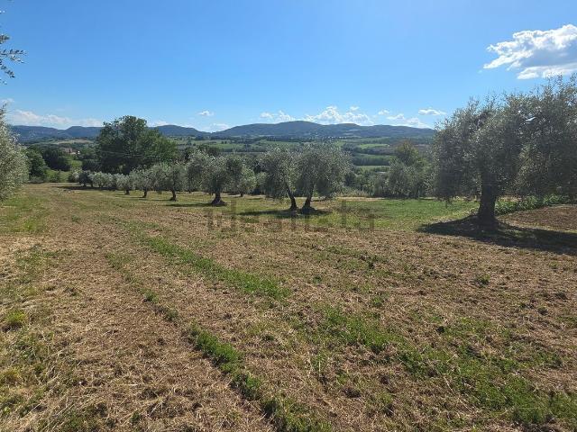 Terreno in vendita a San Gemini, Umbria