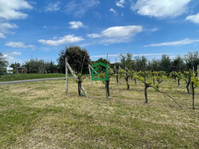 Terreno in vendita a Giove, Umbria