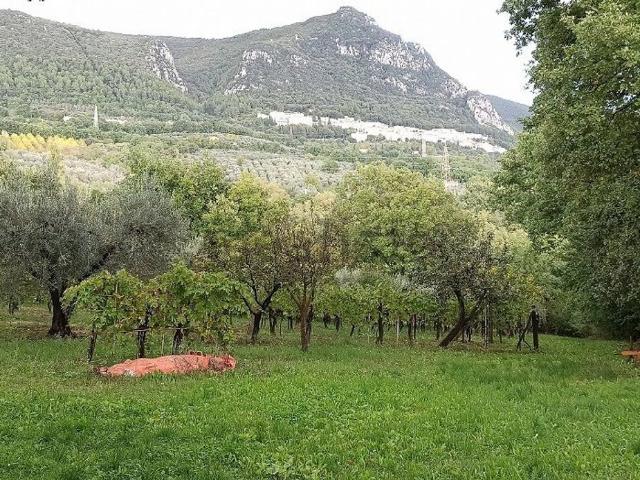Terreno in vendita a Terni, Umbria