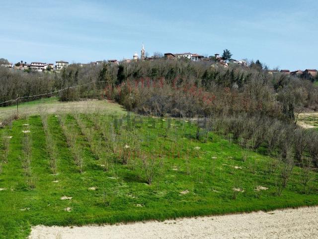 Terreno in vendita a Piemonte, Asti