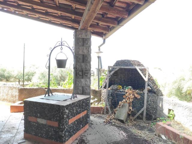 Terreno in vendita a Santa Maria Di Licodia, Sicilia