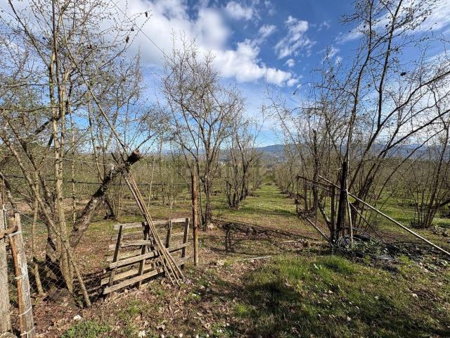 Terreno in vendita a San Mauro, Narni