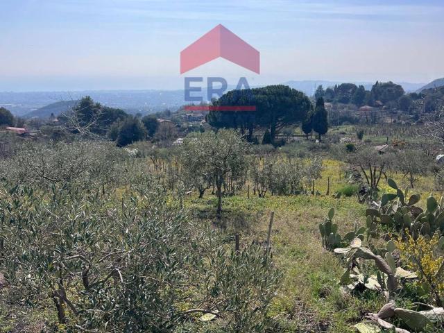 Terreno in vendita a Trecastagni, Sicilia