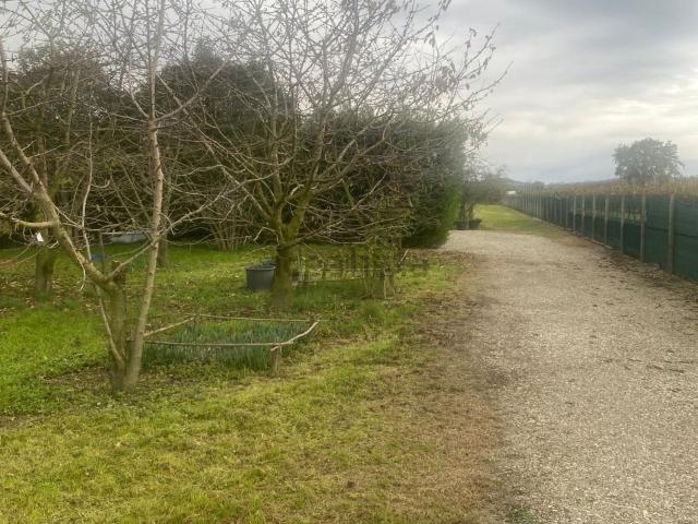 Terreno in vendita a Case Mancurta, Imola