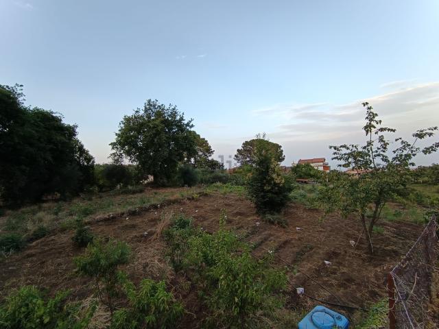 Terreno in vendita a Monacella, Santa Venerina