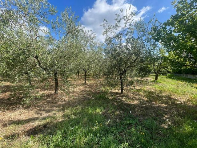 Terreno in vendita a Le Fornaci, Pistoia