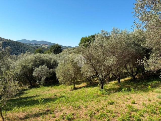 Terreno in vendita a Salisano, Lazio