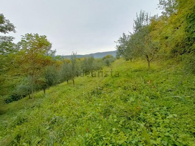 Terreno in vendita a Tregnago, Veneto