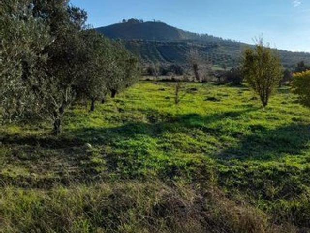 Terreno in vendita a Calabria, Catanzaro