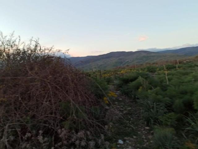 Terreno in vendita a Bronte, Sicilia