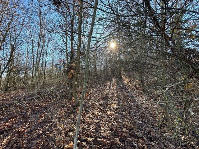 Terreno in vendita a Piemonte, Cuneo