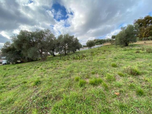 Terreno in vendita a Torrevecchia Teatina, Abruzzo