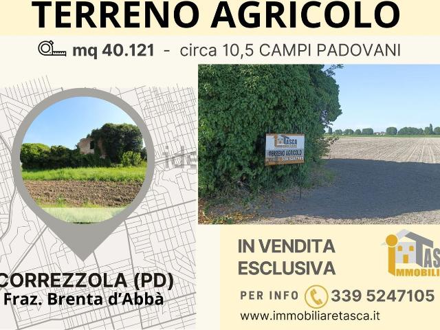 Terreno in vendita a Correzzola, Veneto