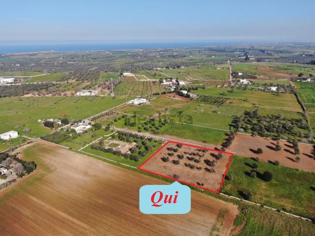 Terreno in vendita a Puglia, Brindisi