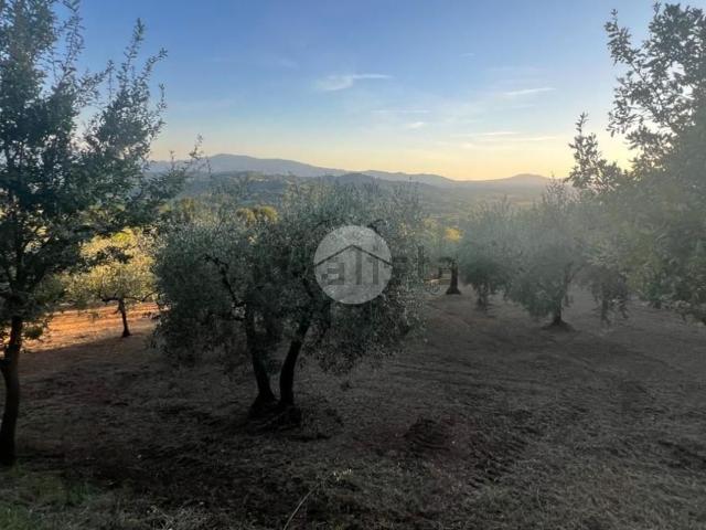 Terreno in vendita a Serrone, Lazio