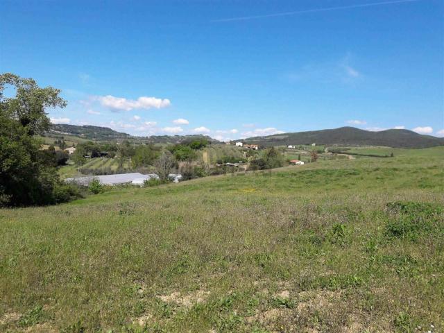 Terreno in vendita a Bibbona, Toscana