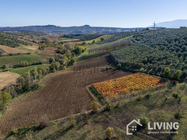 Terreno in vendita a Loreto Aprutino, Abruzzo