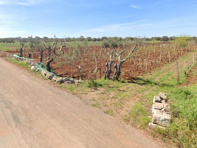 Terreno in vendita a Puglia, Taranto