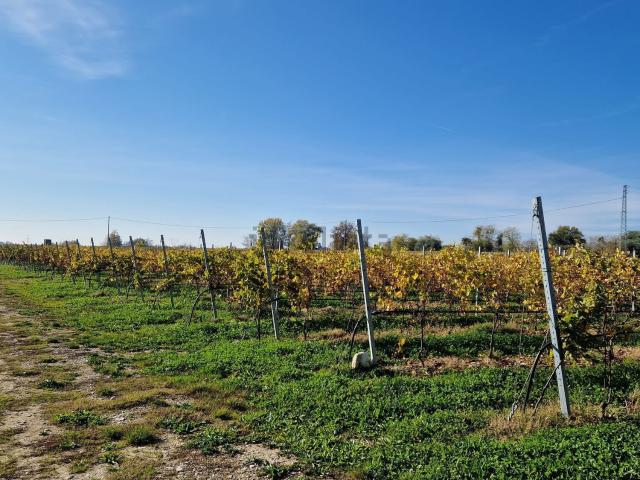 Terreno in vendita a Colà, Lazise