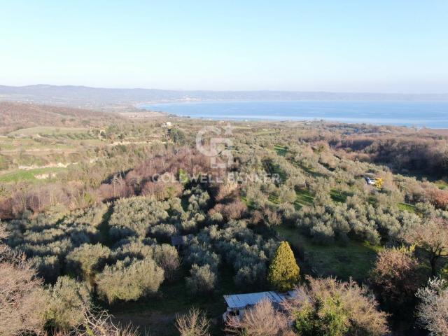 Terreno in vendita a Gradoli, Lazio