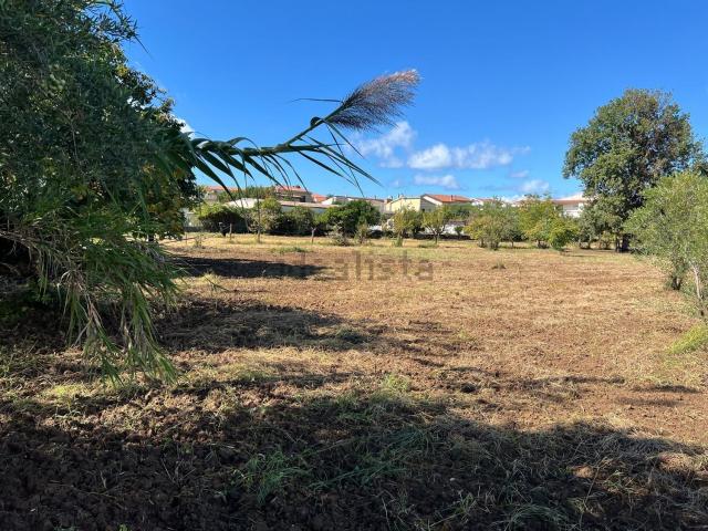 Terreno in vendita a Piano Lettieri, Calabria