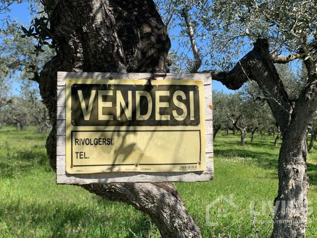 Terreno in vendita a Loreto Aprutino, Abruzzo