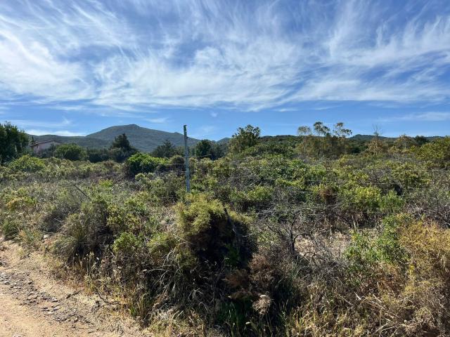 Terreno in vendita a Dolianova, Sardigna/Sardegna