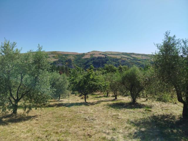 Terreno in vendita a Abbadia San Salvatore, Toscana