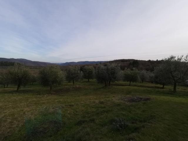 Terreno in vendita a Bucine, Toscana