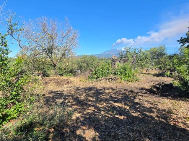 Terreno in vendita a Borrello, Belpasso