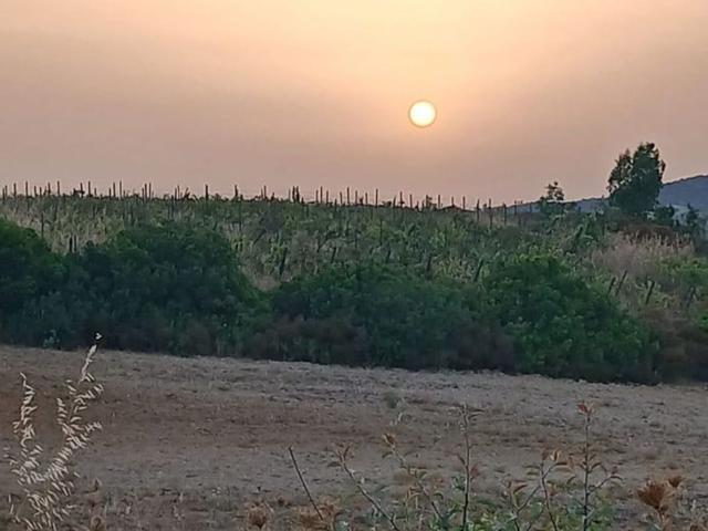 Terreno in vendita a Donori, Sardigna/Sardegna