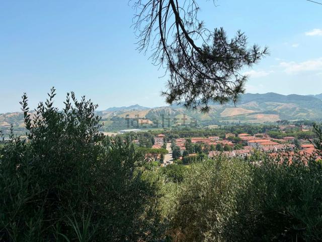 Terreno in vendita a Nuovo Circondario Imolese, Casalfiumanese
