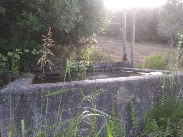 Terreno in vendita a Calabria, Cosenza