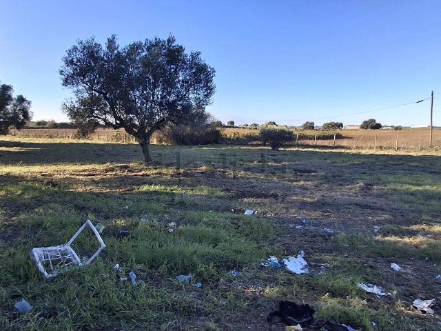 Terreno in vendita a Montalto Di Castro, Lazio