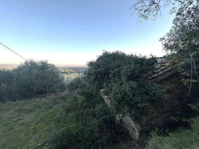 Terreno in vendita a Castiglione Della Pescaia, Toscana