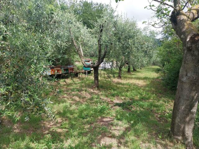 Terreno in vendita a Vaiano, Toscana