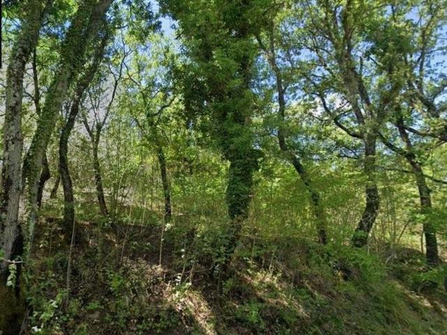 Terreno in vendita a San Venanzo, Umbria