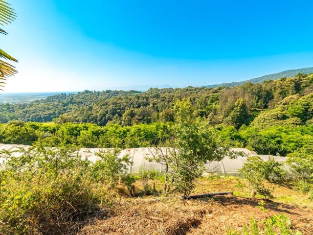 Terreno in vendita a Piemonte, Cuneo