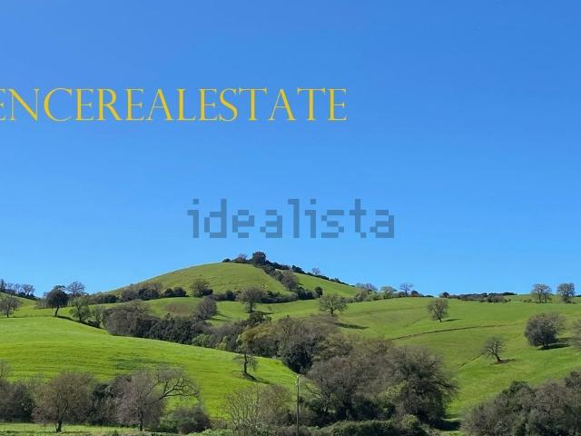 Terreno in vendita a Preselle, Scansano