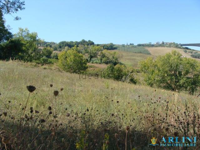 Terreno in vendita a Silvi, Abruzzo