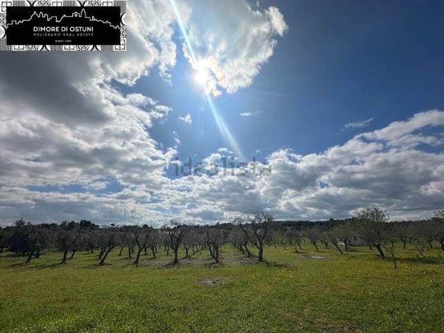 Terreno in vendita a Puglia, Brindisi