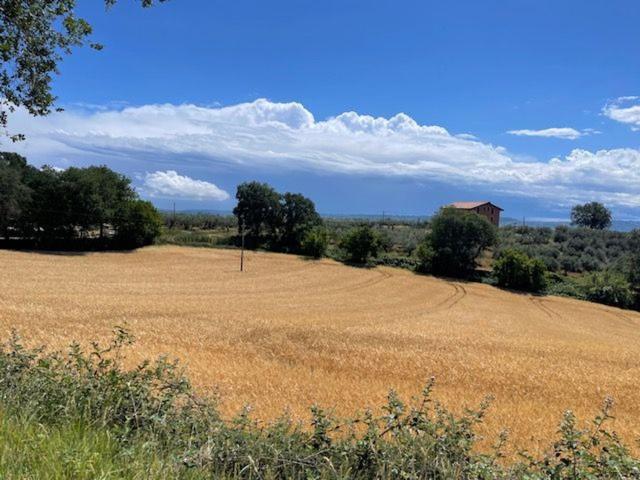 Terreno in vendita a Moscufo, Abruzzo