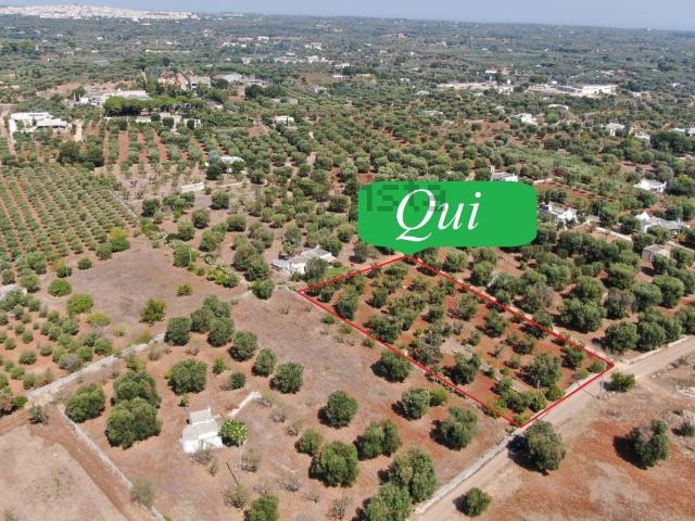 Terreno in vendita a Puglia, Brindisi
