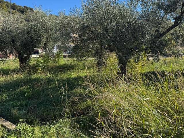 Terreno in vendita a Casacanditella, Abruzzo