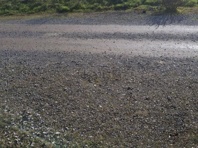 Terreno in vendita a Fusignano, Reggio Emilia