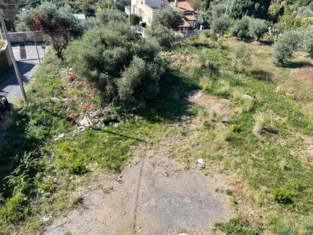 Terreno in vendita a Pace Del Mela, Sicilia
