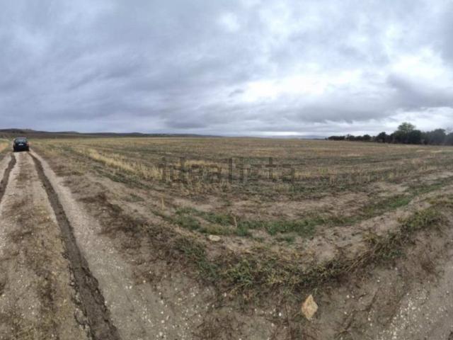 Terreno in vendita a Lucera, Foggia