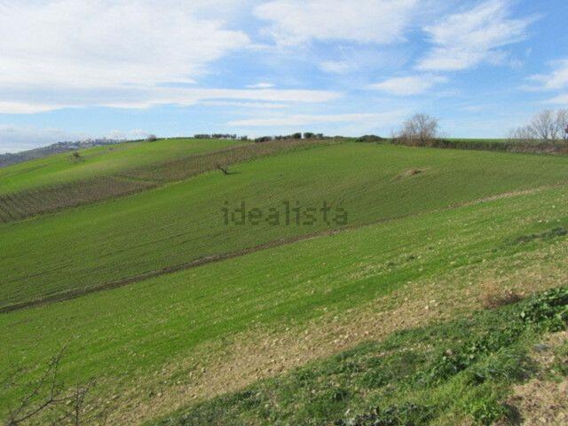 Terreno in vendita a Guglionesi, Molise